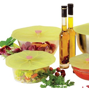 Day and Age Charles Viancin LilyPad