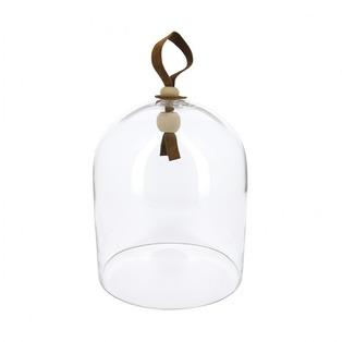 Small Glass Cloche