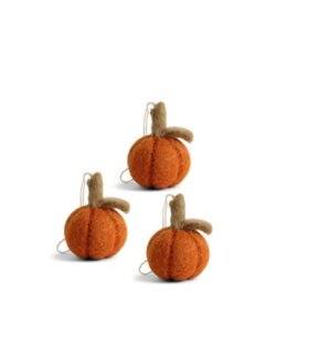 Mini Pumpkins 