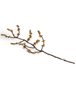 Branch with Yellow Berries