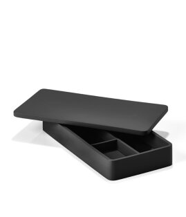 Desk Organizer (Low)