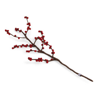 Day and Age Branch with Red Berries