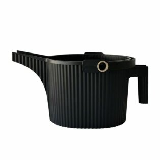 Day and Age Garden Beetle Watering Can - Black (5L)