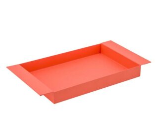 Day and Age Metal Tray - Coral