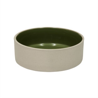 Day and Age Sia Dog Bowl - Green (Medium)